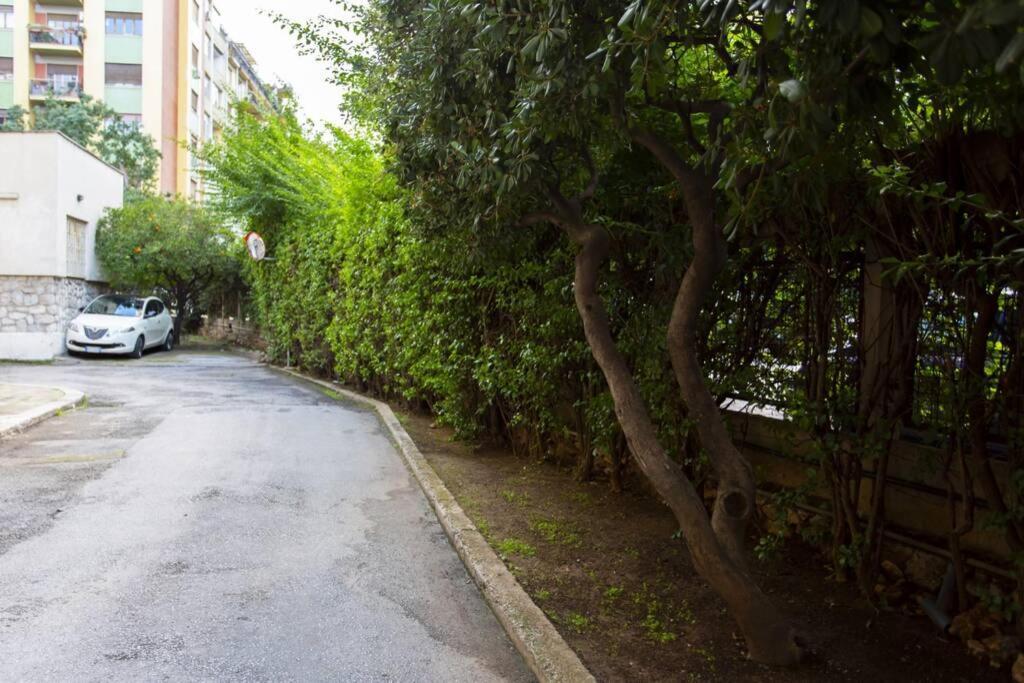 פלרמו Luxury Sciuti Apartment מראה חיצוני תמונה